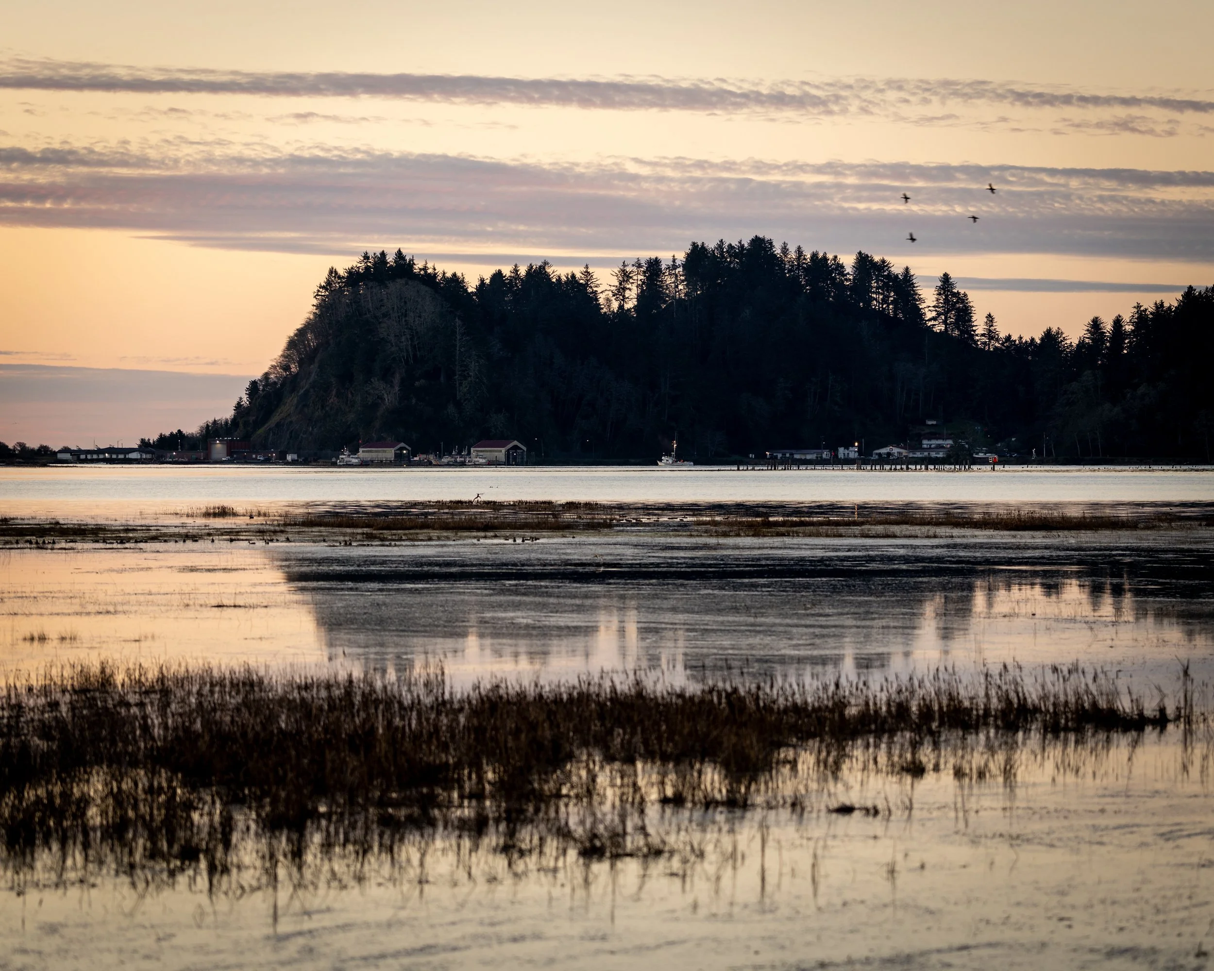 JimmyWhitePhoto-9.jpg
