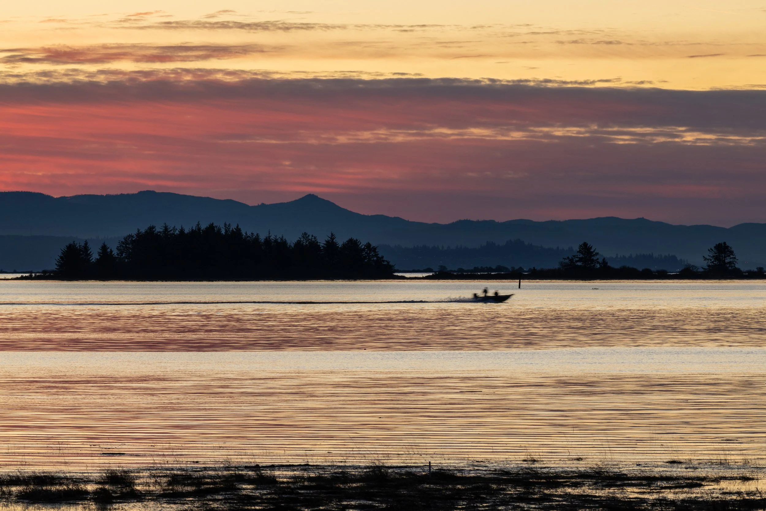 JimmyWhitePhoto-5.jpg