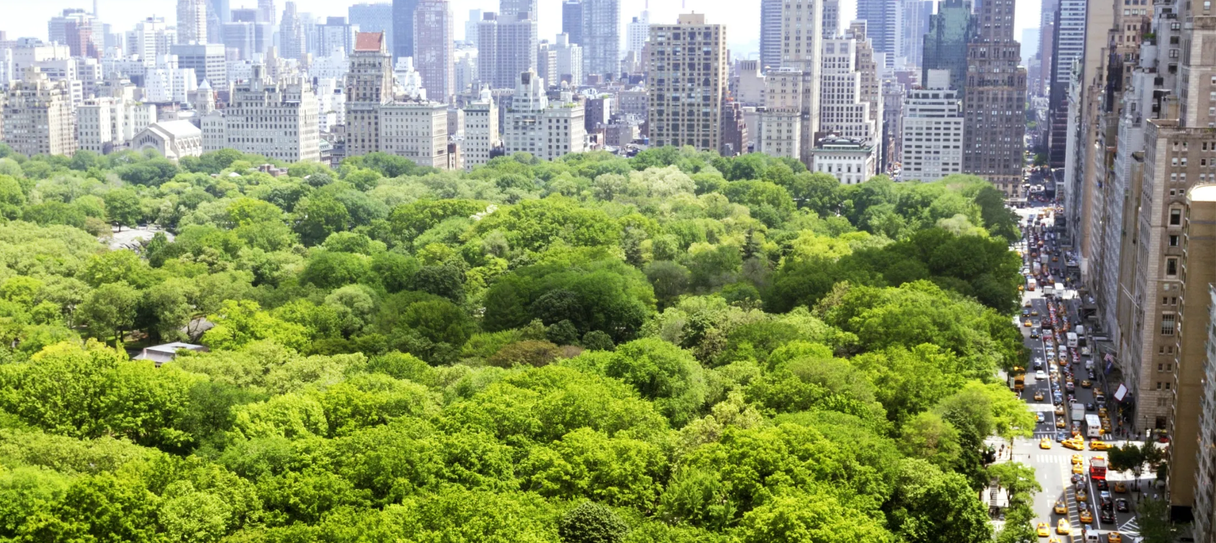 Aerial view of Central Park in New York City with lush green trees and surrounding tall city buildings, and traffic on nearby streets.