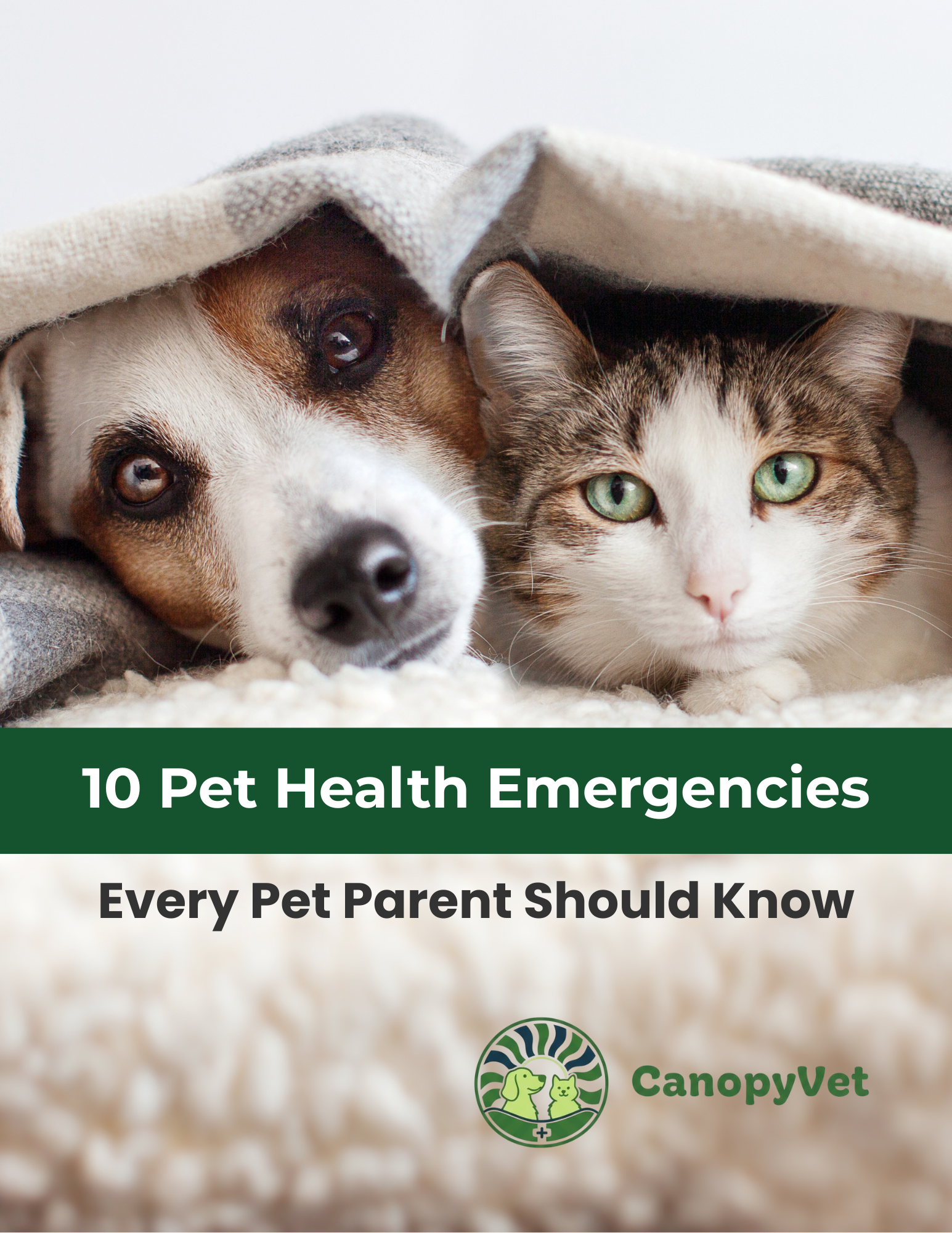 Title page of a brochure with a photo of a dog and a cat lying under a blanket, with the text '10 Pet Health Emergencies, Every Pet Parent Should Know' and a logo with a dog and a cat, labeled 'CanopyVet.'