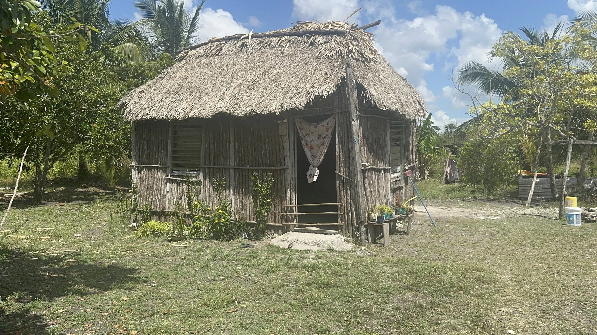 Arasely &amp; Carlos Ico