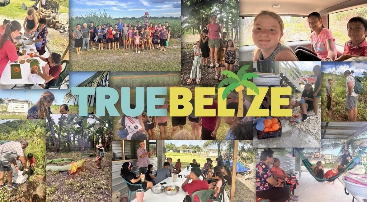 week twelve expectation 