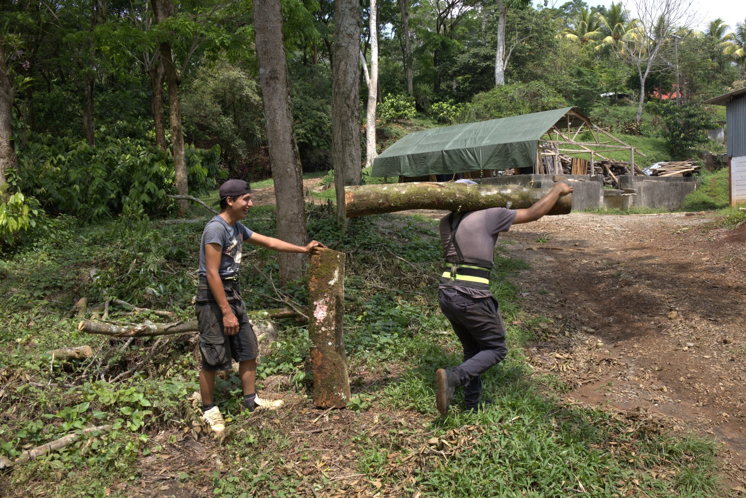 Carpinteros llevando un tronco al taller para ser trabajado en Chiapas