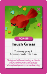 A pop-up educational game screen with a red bird on a grassy field with flowers. Instructions say, 'Touch Grass' and note that you can play twice. A warning about community safety and learning.
