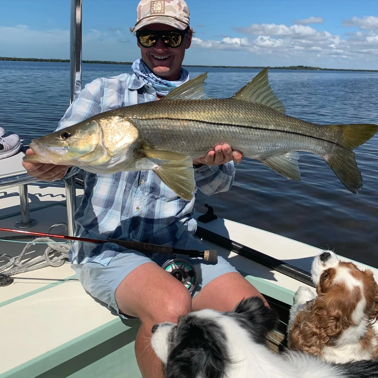 Doesn&rsquo;t quite get better than big snook and tailers in clear water. If you&rsquo;re looking for a unique angling experience, give me a call. Half and full day trips are available! #daisychainangling