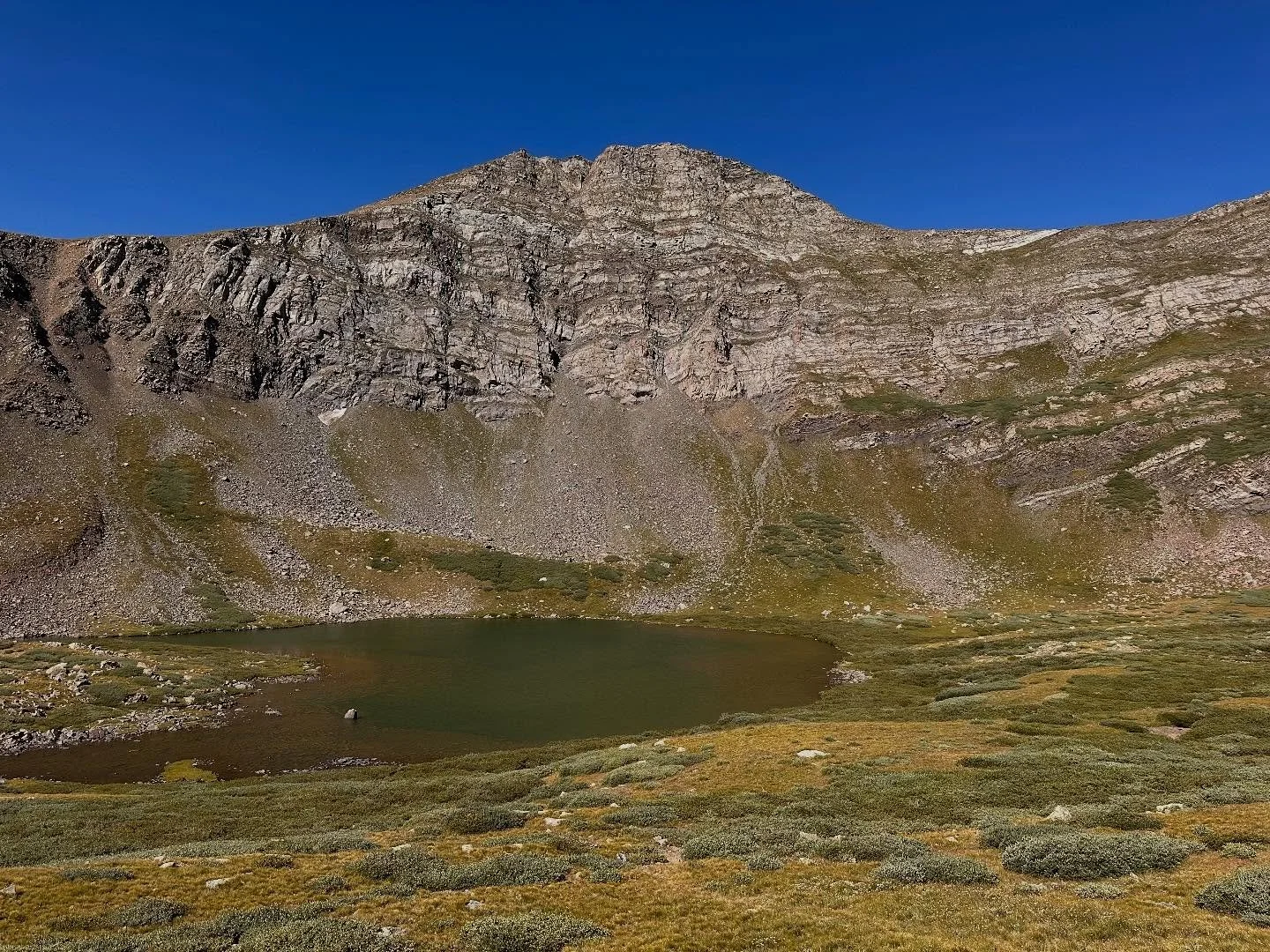 From sight fishing with drys on alpine lakes to banging river banks with streamers, couldn&rsquo;t ask for more variety. Thank you @open_water for an incredible trip! Also a bonus slow mo of a broad tail hummingbird.