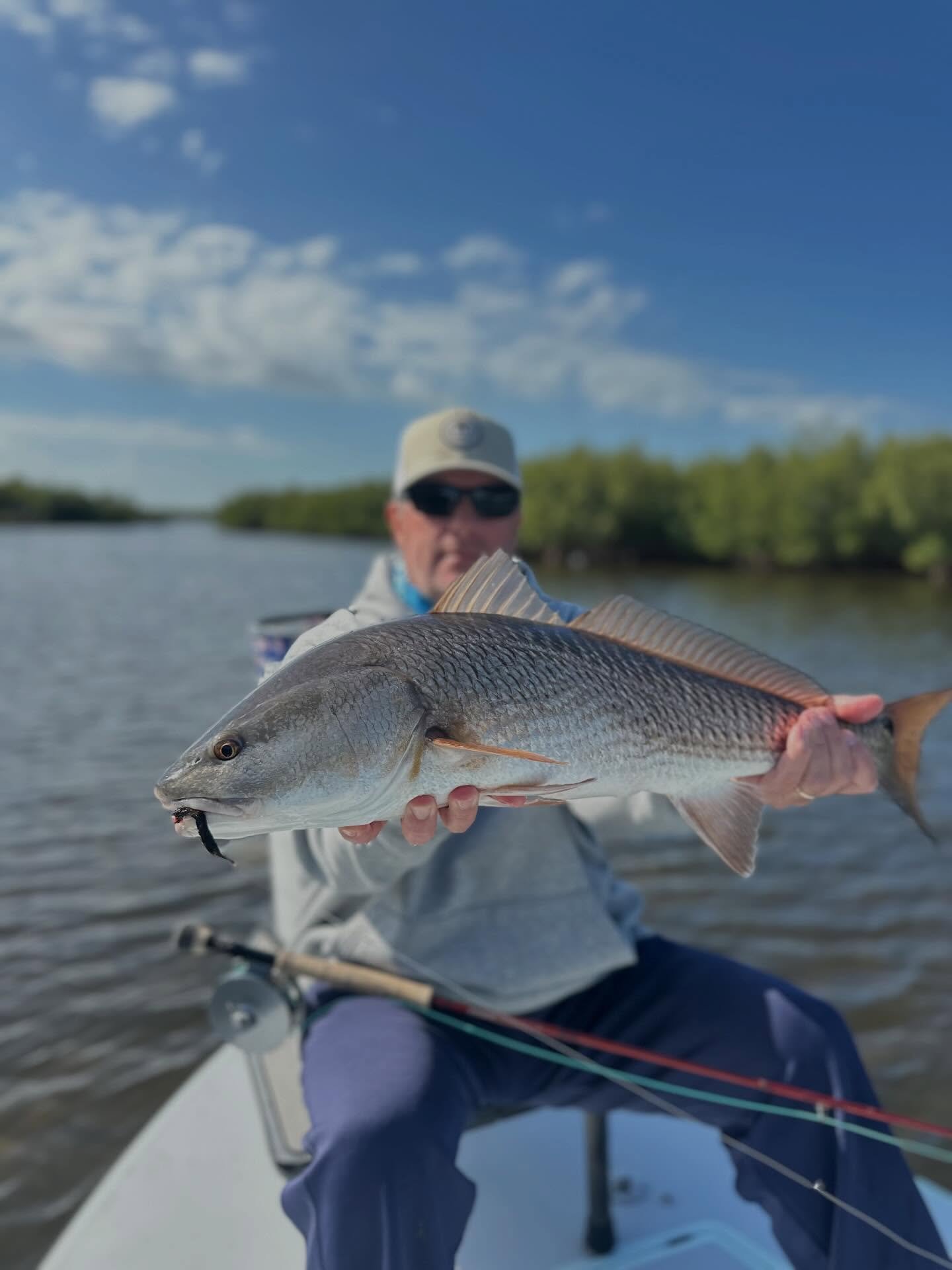 Some post frontal cooper! It was a blast getting to fish with Eric the past few days. Can&rsquo;t wait for this upcoming poon season! Go check #daisychainangling &lsquo;s new website with the link in my bio. #CharlotteHarbor #redfish #flyfishing
