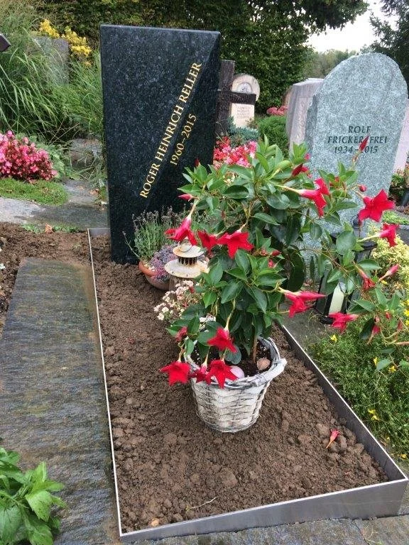 Blumen und Gräber auf einem Friedhof mit Grabsteinen, ein Rosenstrauch in einem Korb, auf dem Boden vor dem Grab. Einige Blumen und Gräser sind im Hintergrund zu sehen.