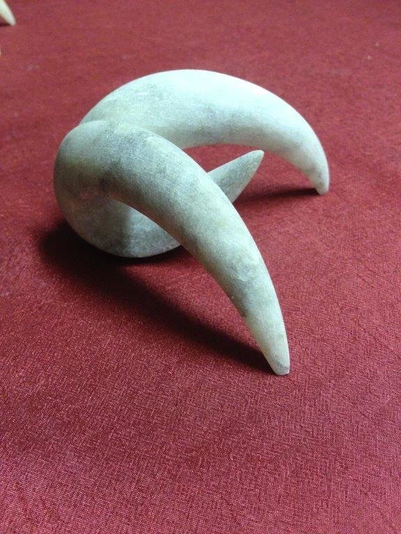 Ein Salamander-Klauen-Skelett auf rotem Stoff