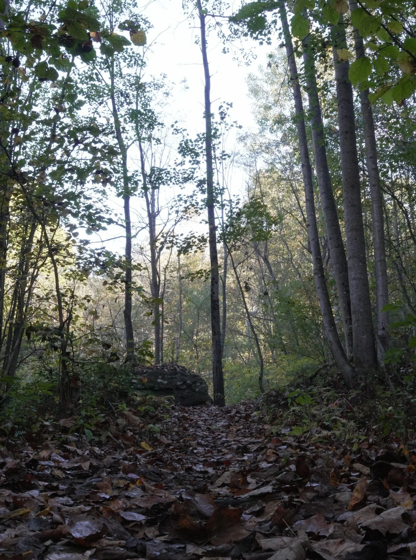 📍Kilgore Falls, Harford County, MD