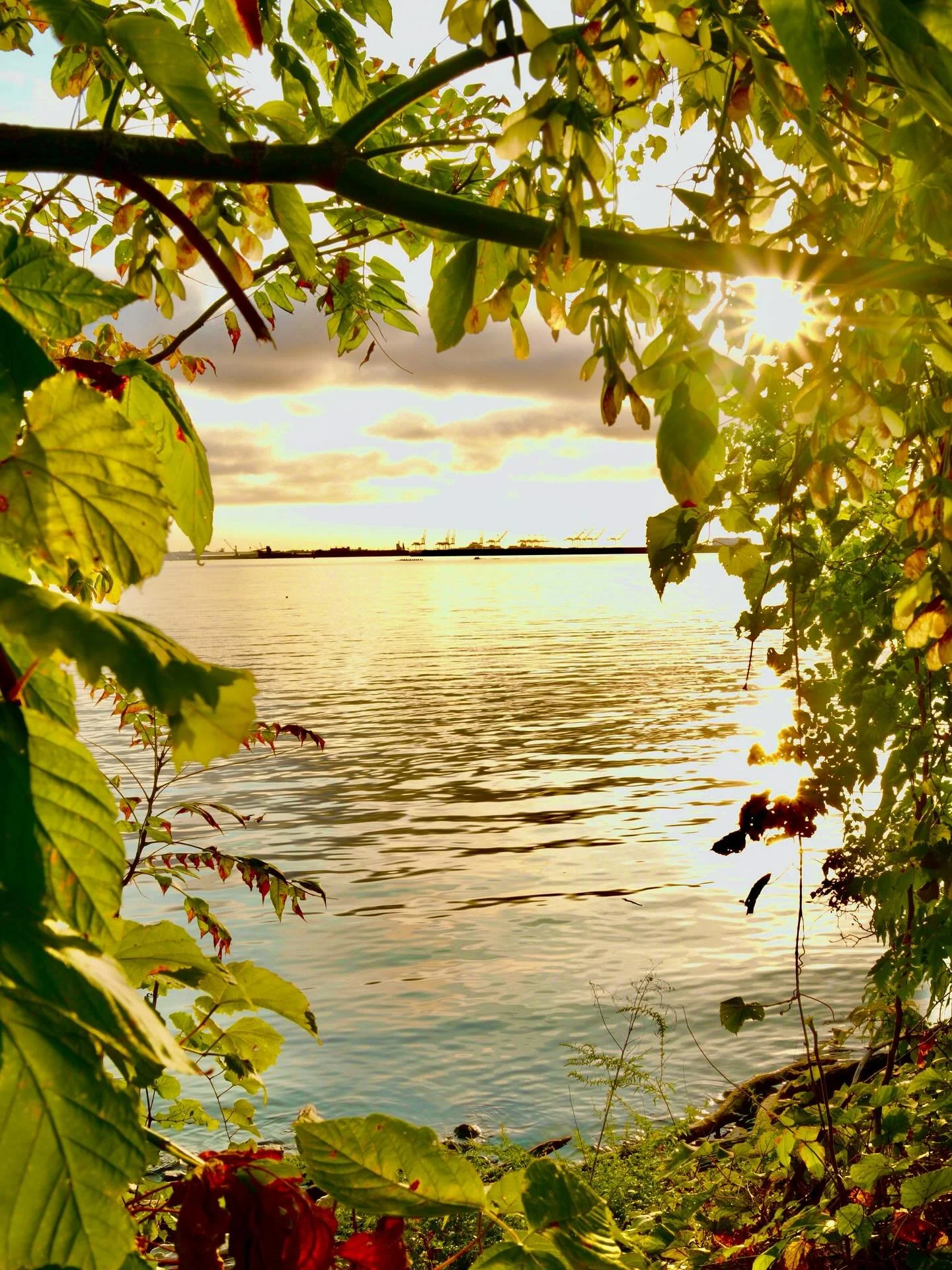 📍Medstar Harbor, Baltimore, Maryland