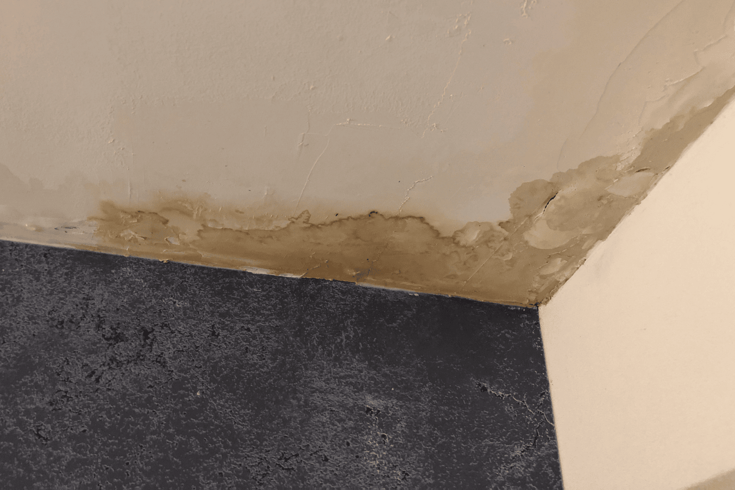 How Advanced Moisture Mapping Pinpoints Leaks Behind Walls &amp; Ceilings
