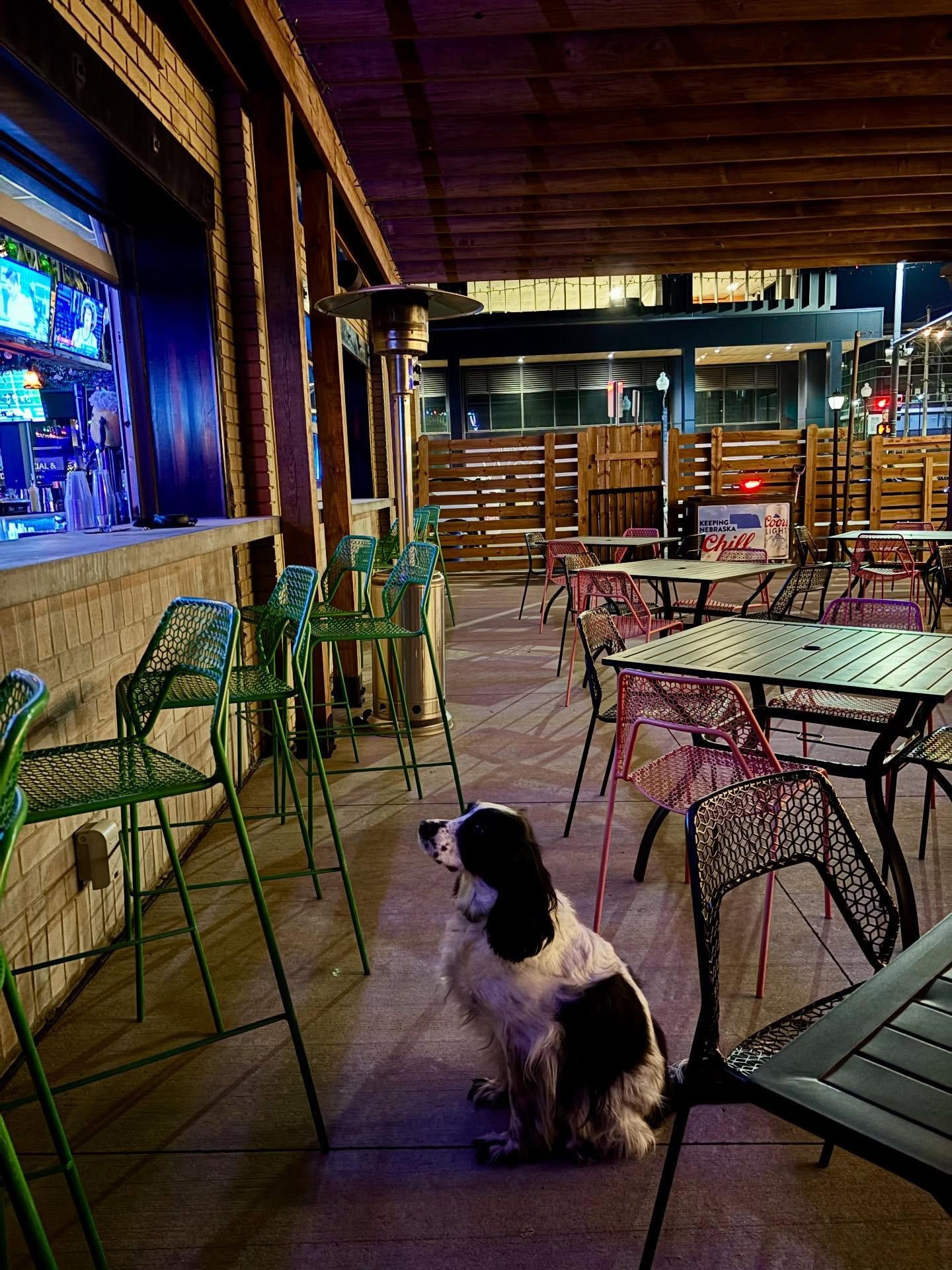 What&rsquo;s a dog gotta do to get a drink around here??

Kya&rsquo;s clearly excited about our weekly pizza - BBQ Chicken! Chopped dino nuggets, bbq sauce, green &amp; red onion and finished with a garlic butter parmesan crust🤤

Open 11am to 2am to