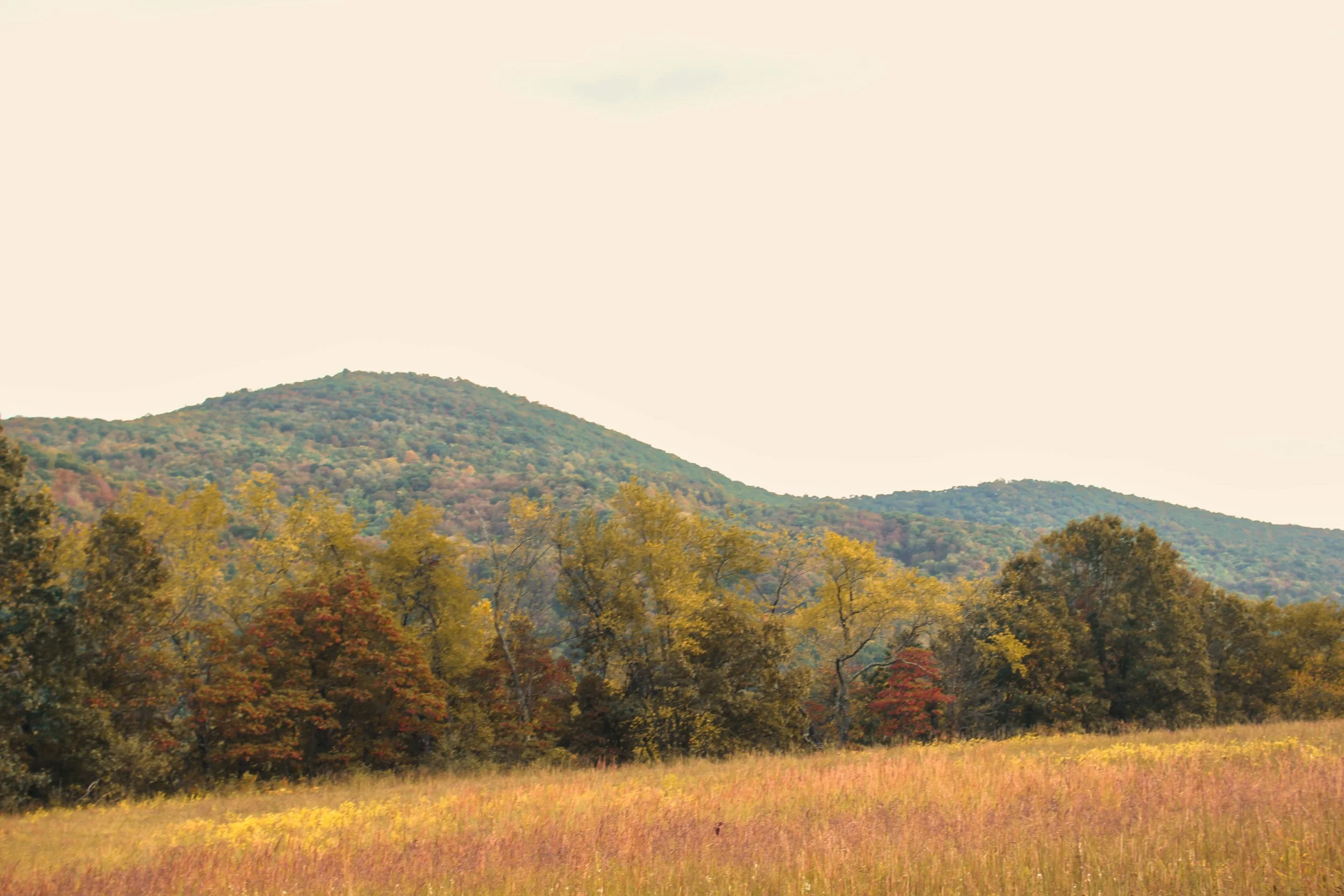 Knobley Mountains | Rawlings, MD