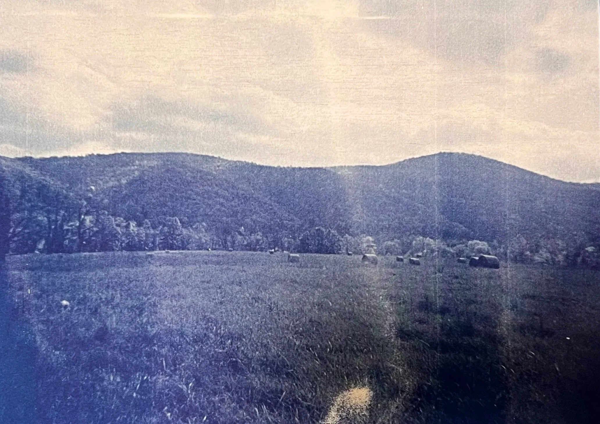 Knobley Mountains | Cyanotype