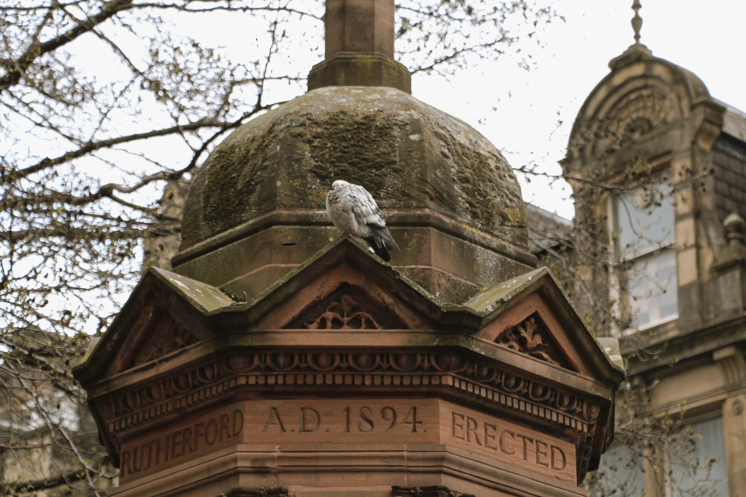 Rutherford Memorial Fountain | Newcastle, UK