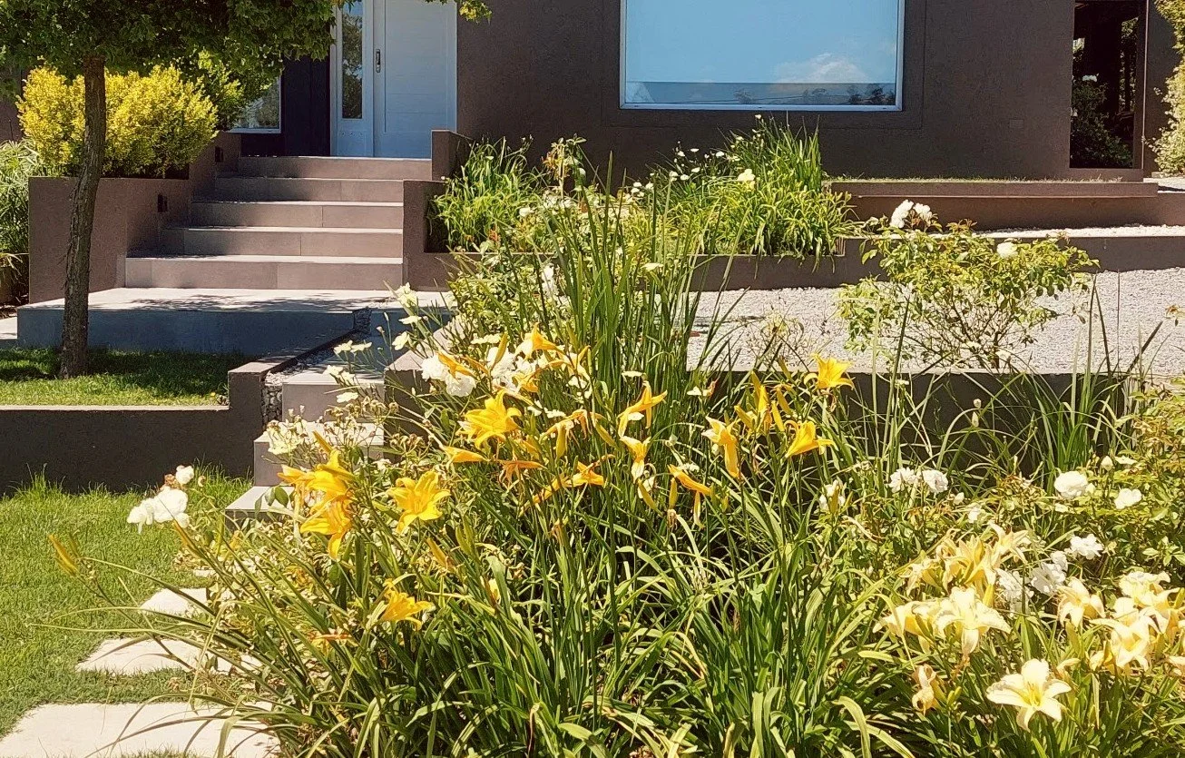 Asesoramiento In Situ