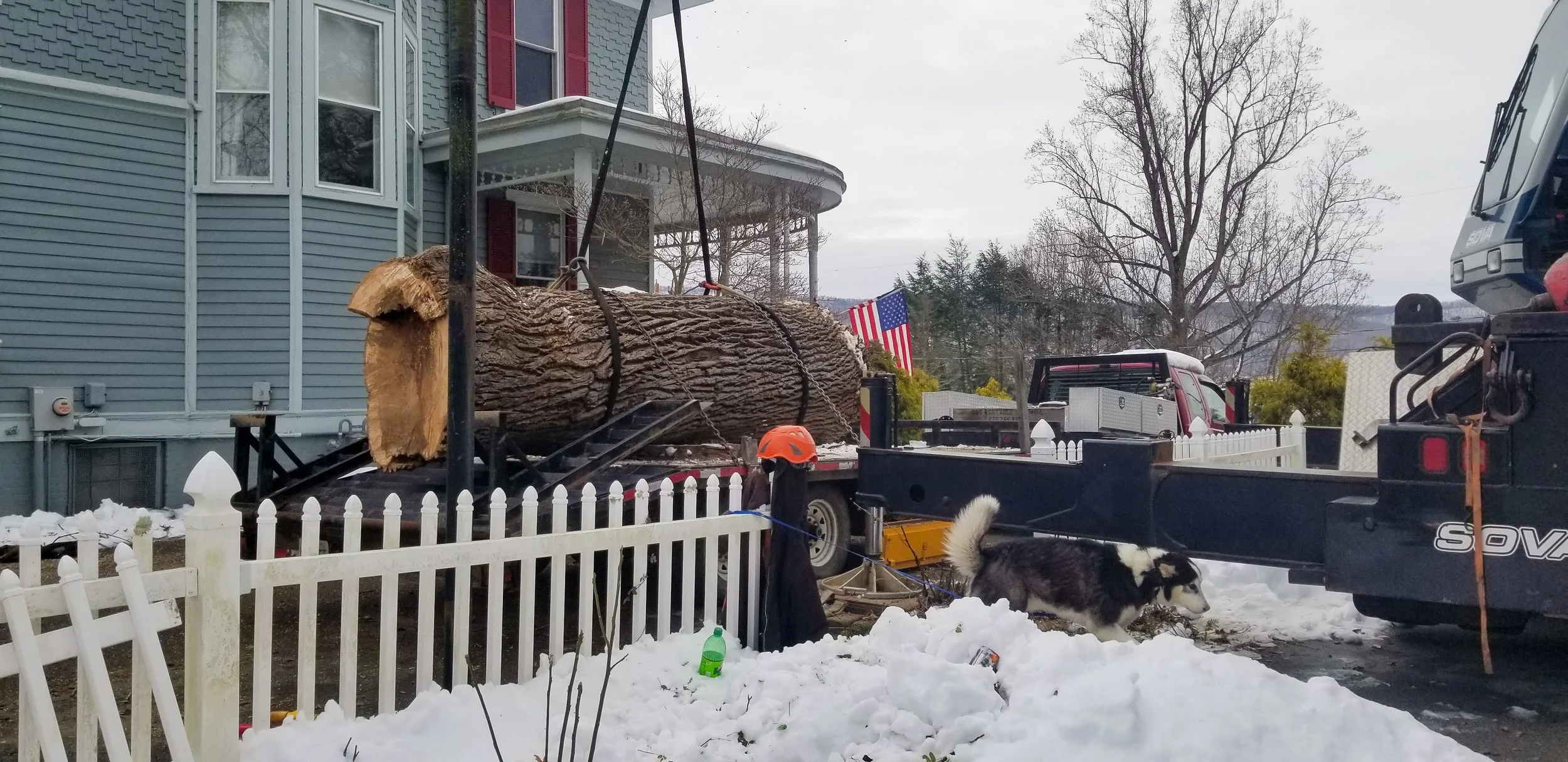 A large tree trunk being lifted by a crane onto a truck in a snowy residential yard. A Siberian Husky dog is walking near the snow and truck. An American flag is visible in the background.