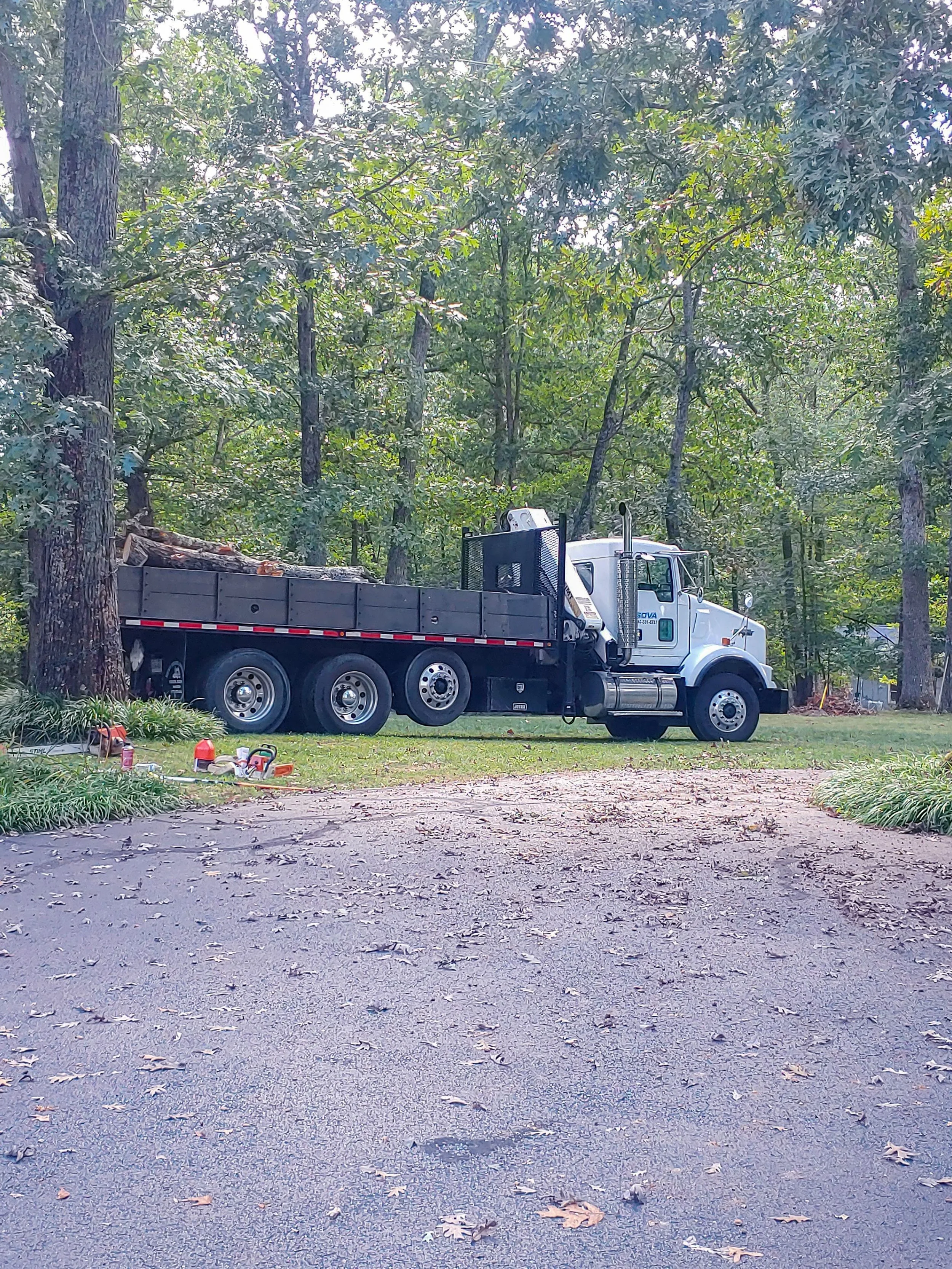 A large flatbed truck with logs in the bed parked on a grassy area surrounded by trees.