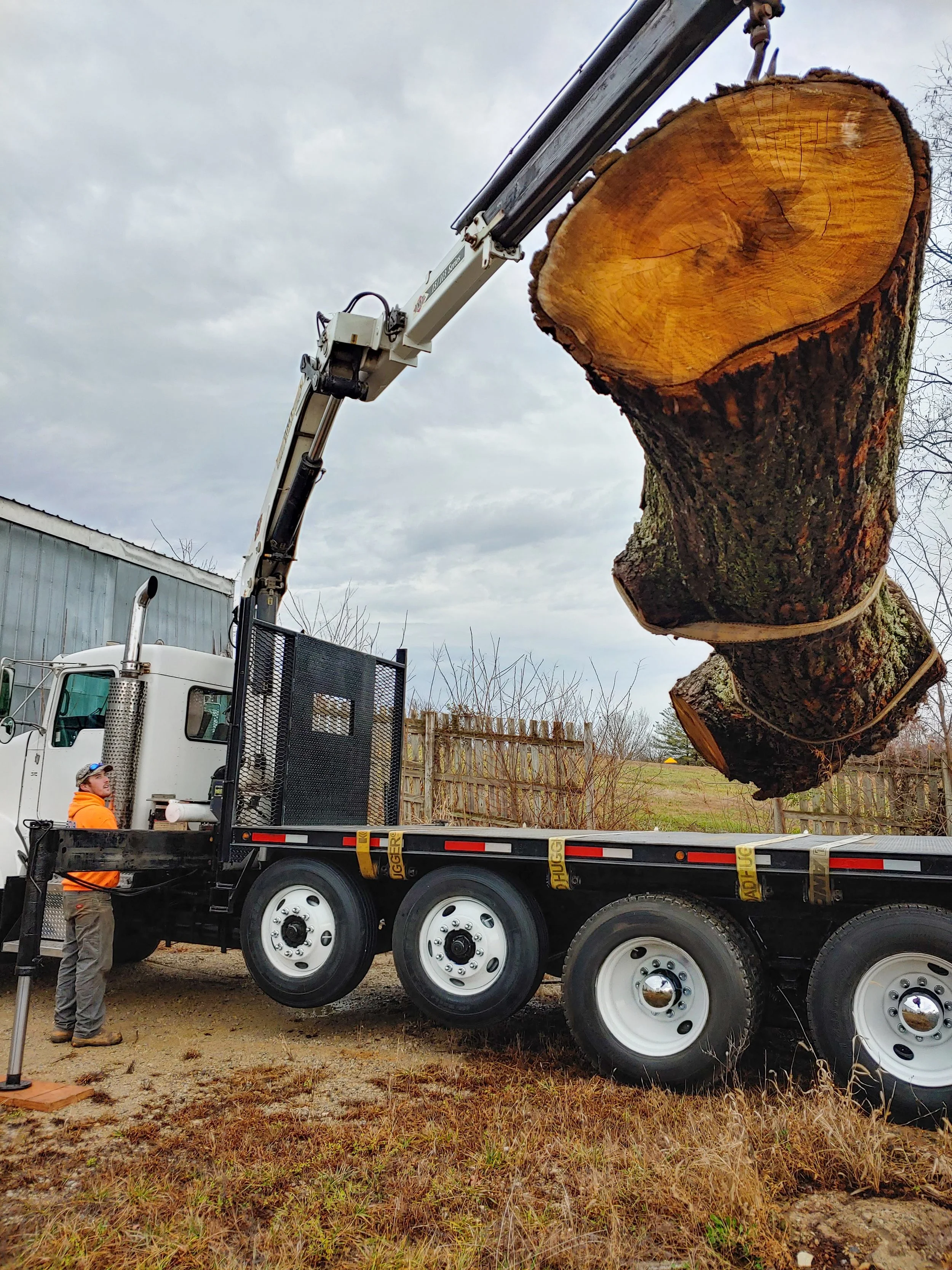 A worker wearing an orange hoodie and gray pants is operating a crane truck that is lifting a large cut tree trunk. The crane has a long white boom, and the tree trunk is suspended in the air with a strap around it. The truck is parked on a dirt grou