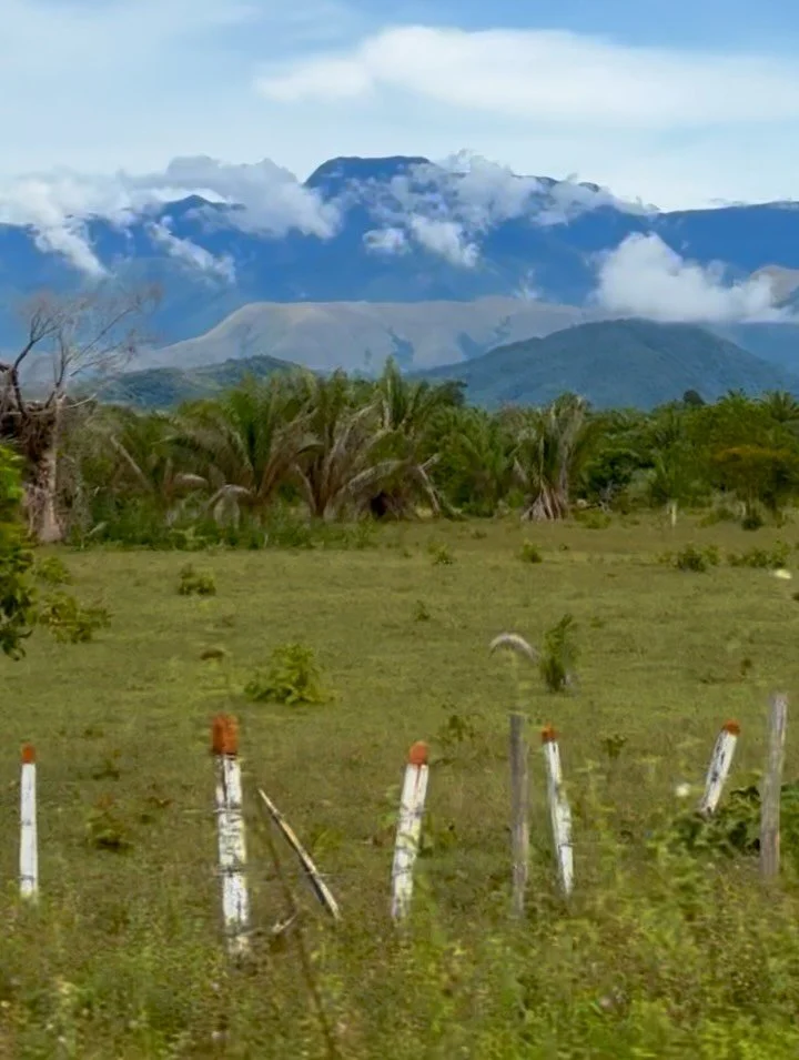 Escuela de Campo, EscarabaTon en Chiriguana C&eacute;sar, muchas bonitas experiencias y aprendizajes.
En el marco del@proyecto Corredor de  Vida del C&eacute;sar 

@alcaldiachiriguanacesar 
@instituto_humboldt 
Fundaci&oacute;n Creer
