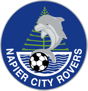 Napier City Rovers soccer team logo featuring a dolphin jumping over a football with water and a pine tree in the background.