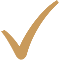 A checkmark symbol