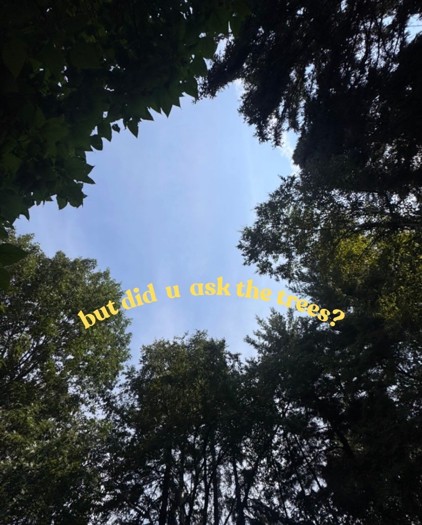 The simplest things can have so much impact 🦋☀️🌻 

If this kind of healing is calling you, I would love to guide you along your journey. 

book your soultherapy consult at the link in my bio 🦋