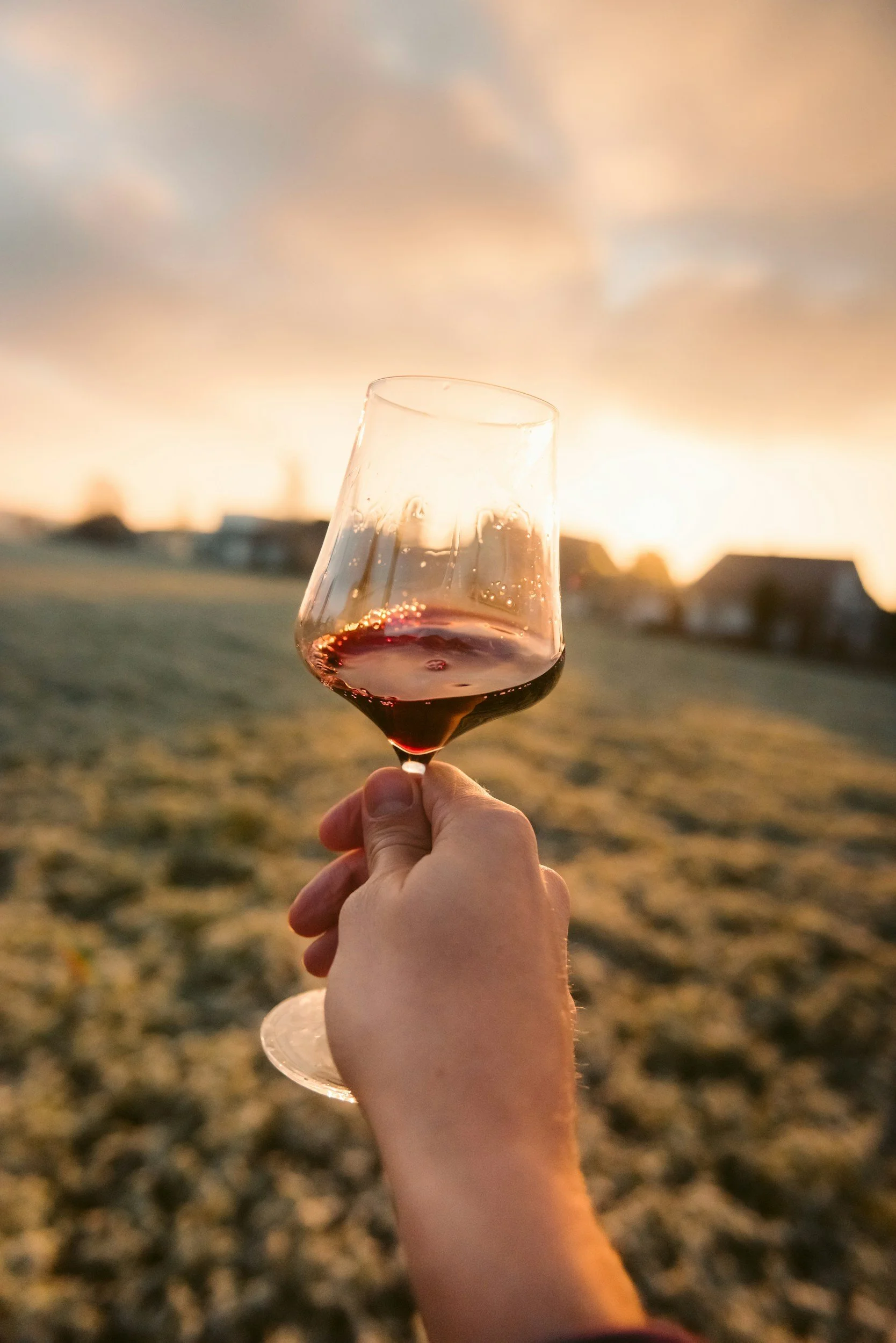 A hand holding a glass of red wine outdoors during sunset with a blurred landscape and houses in the background.