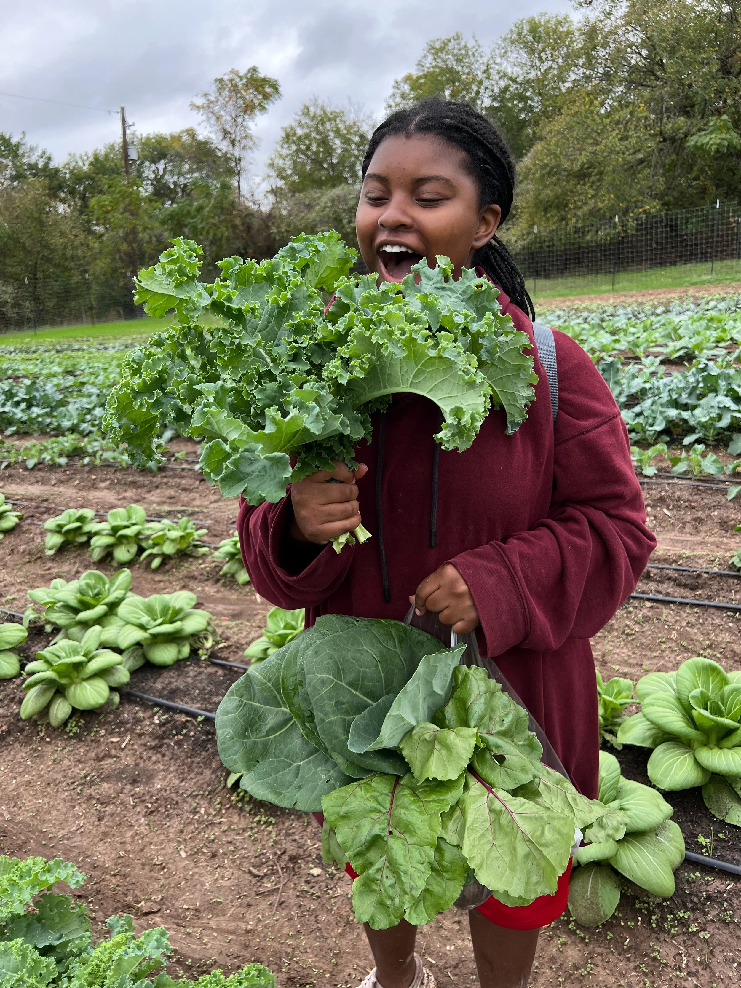 Program with Kale.jpg