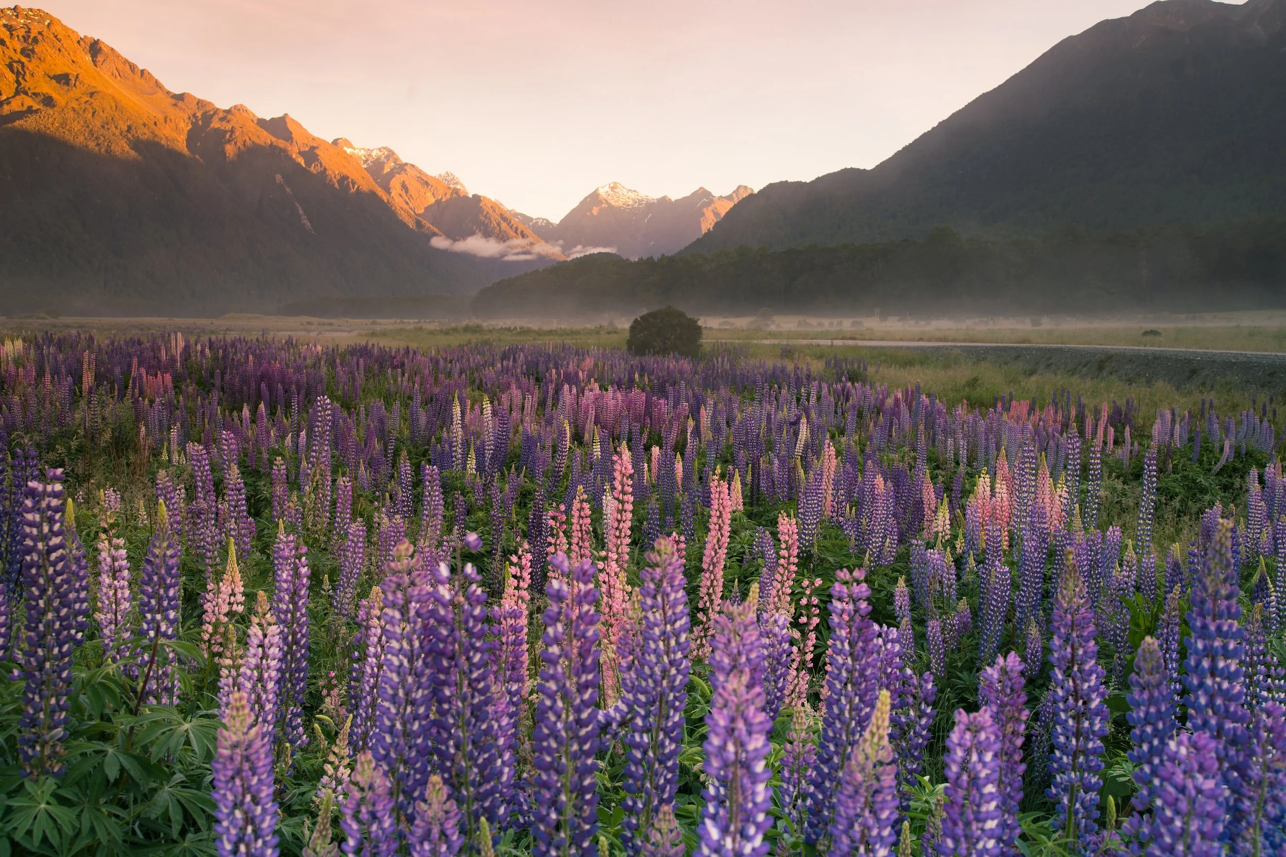 From Big Brands to Local Roots: My Journey to Coal Creek Collective