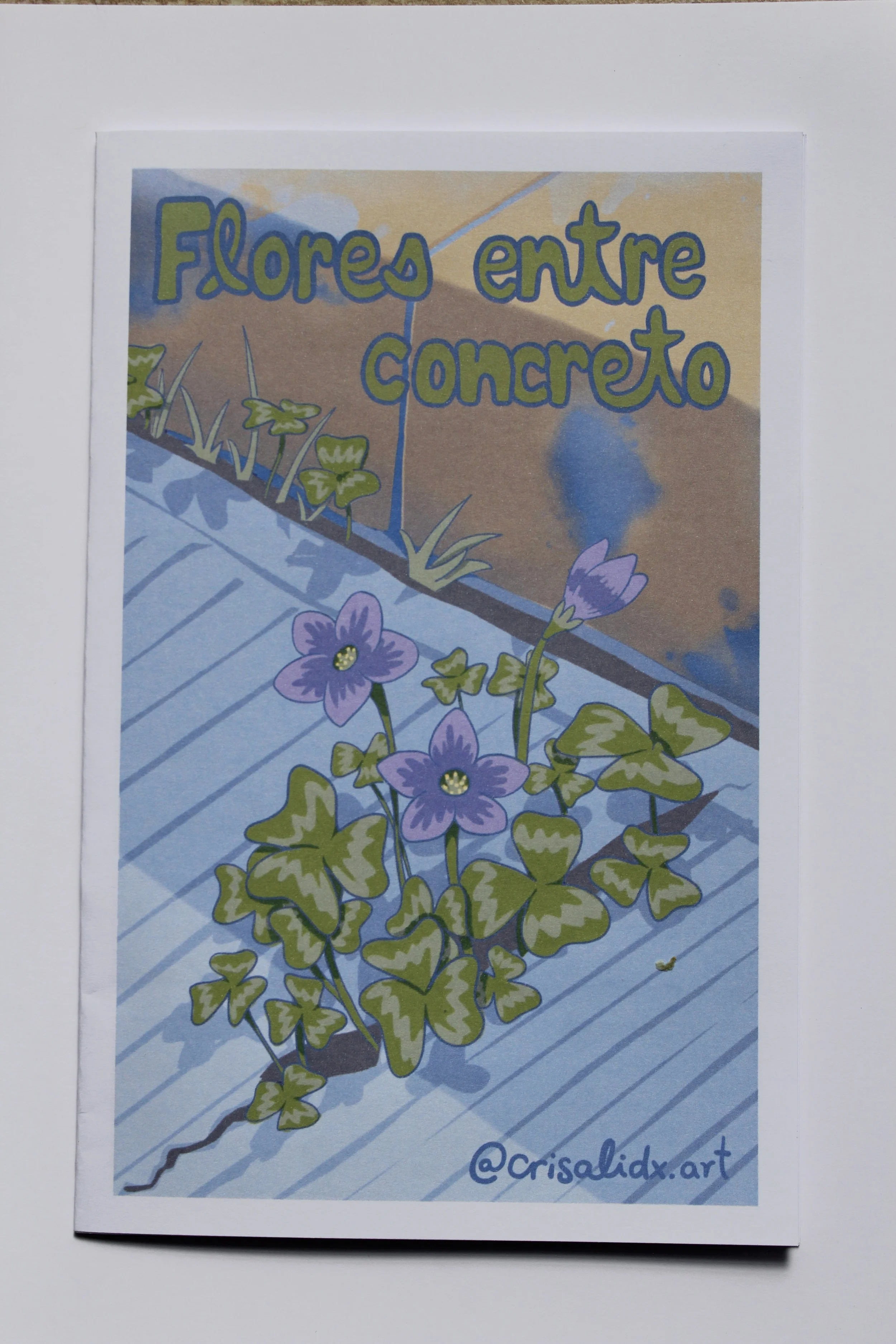 foto_floresconcreto.JPG