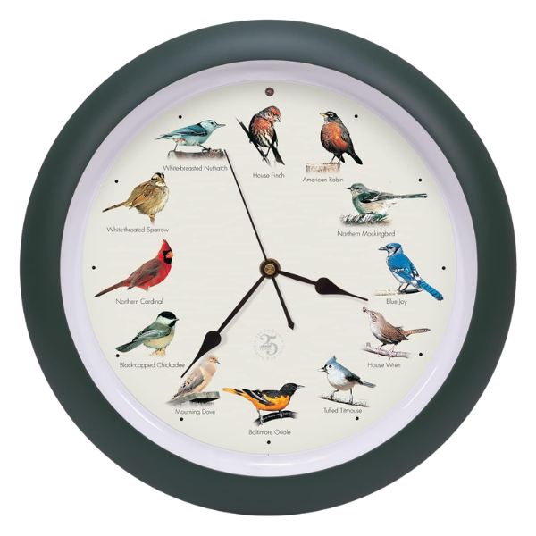 BIRD CLOCK