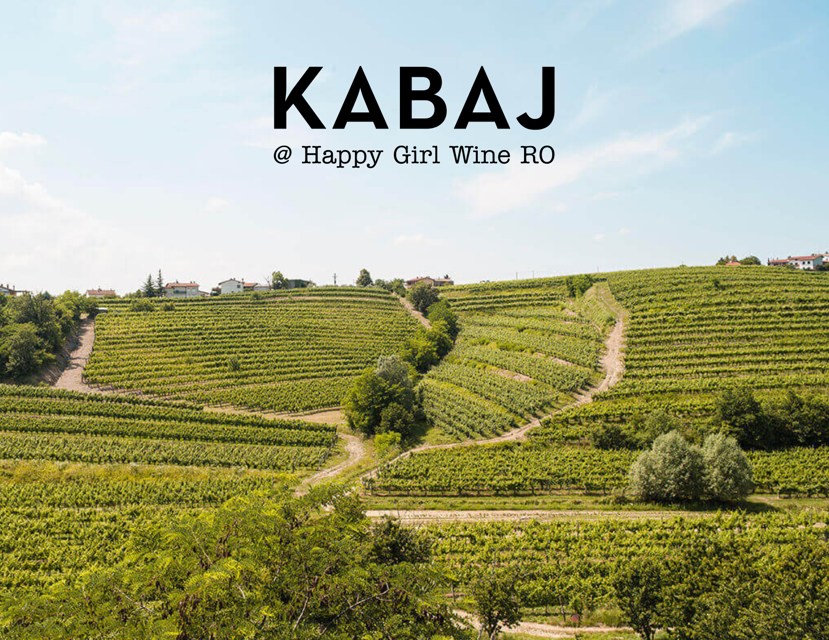 Discover Slovenian Wine            w/ Kabaj!