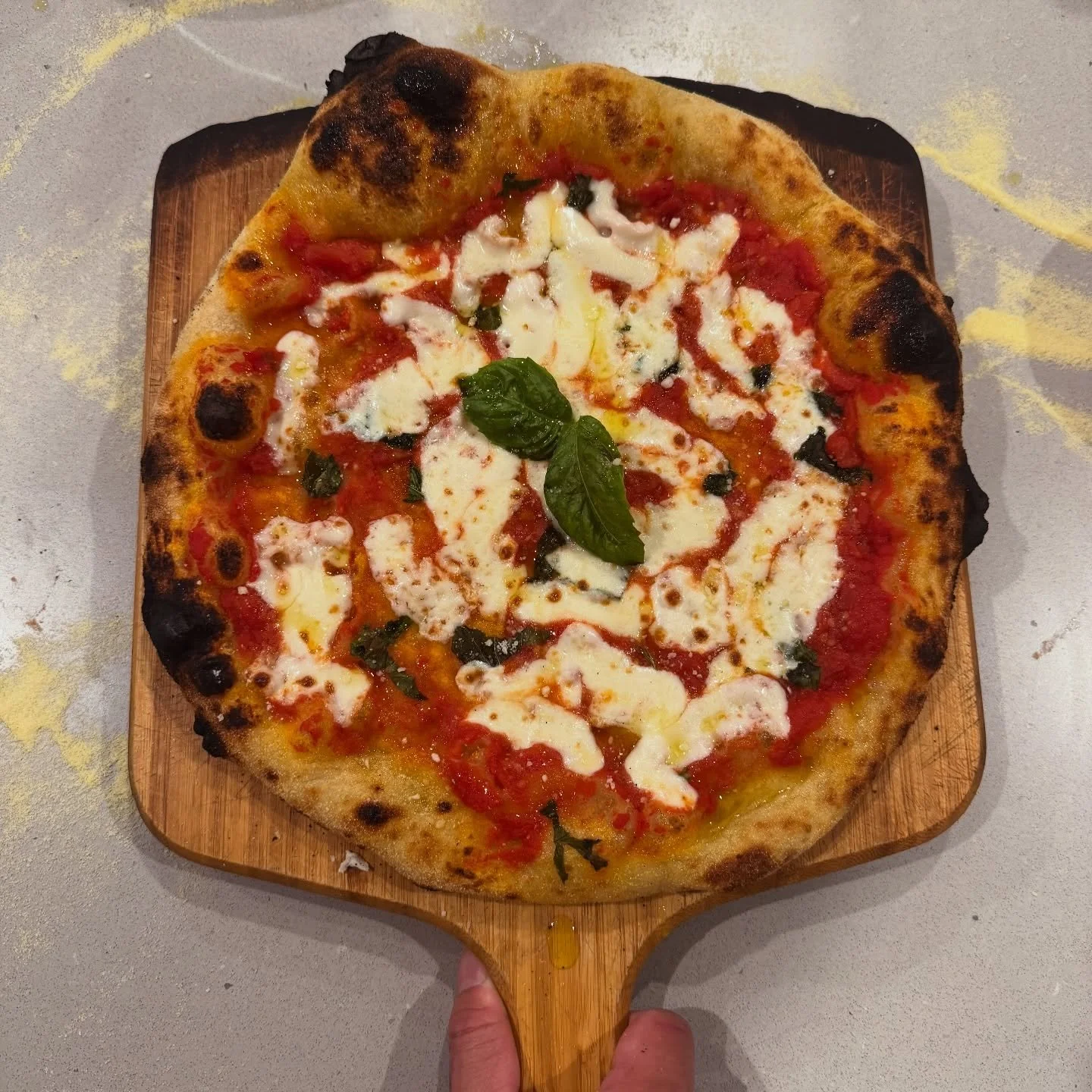 Have you book a tasting yet? Most customers book our pizza truck directly, but for serious inquiries we offer tastings. Whether you&rsquo;ve got a dinner rehearsal, cocktail hour, wedding with pizza, or a private party, our Piaggio ape pizza truck br