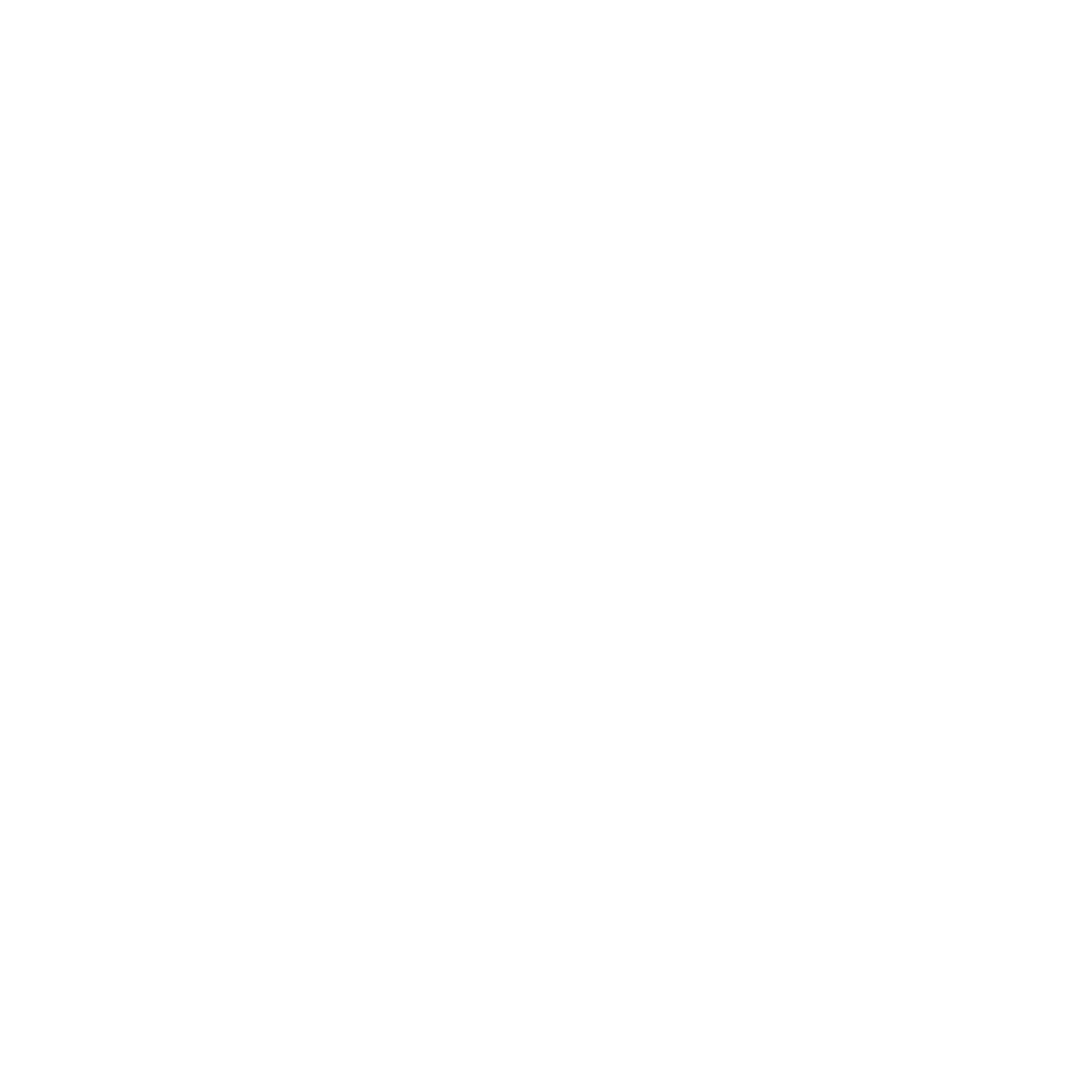Brooklyn Chamber of Commerce white logo