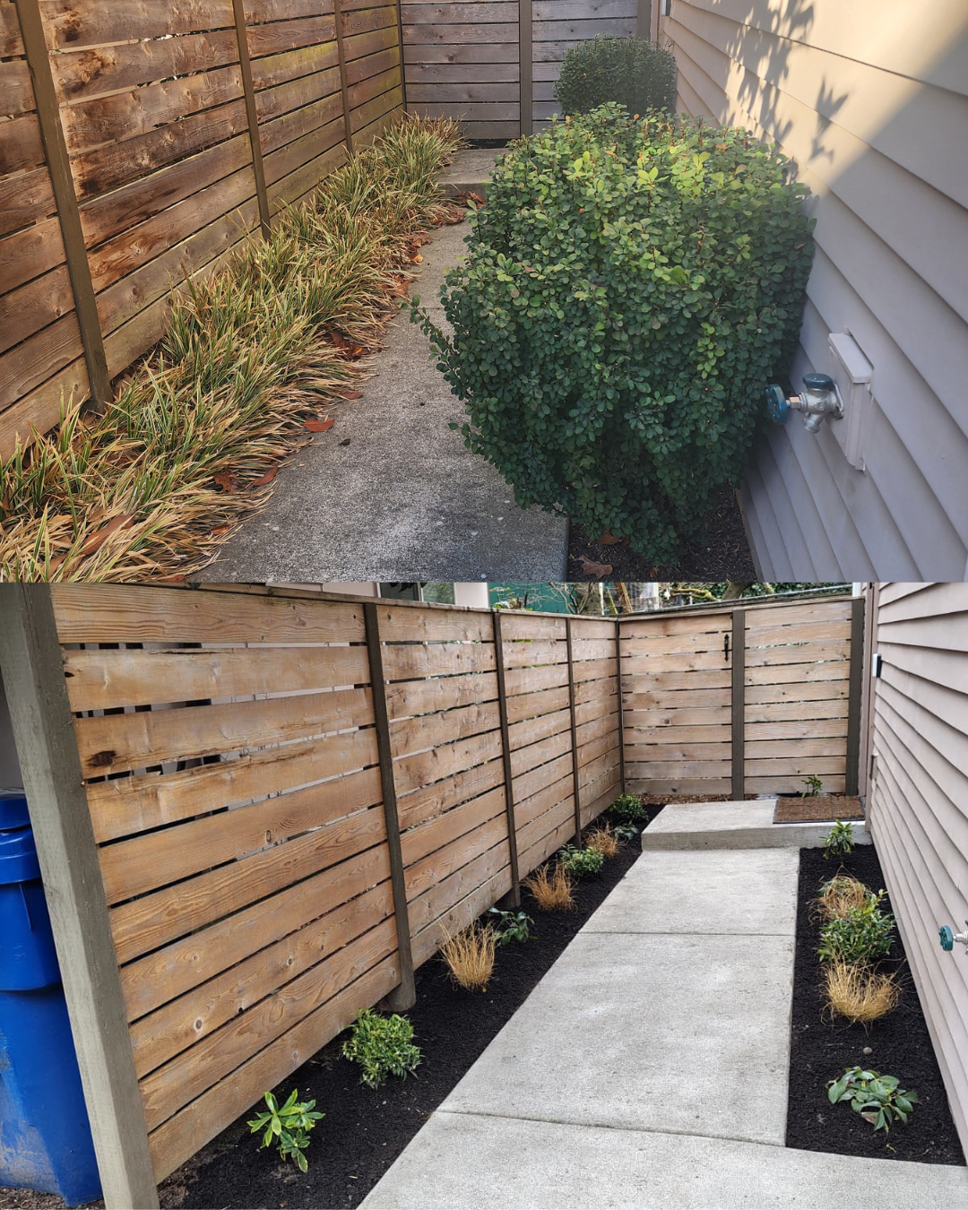 BeforeAfter Template (2).png