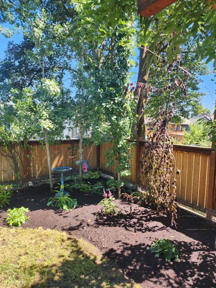 WhatsApp Image 2025-10-21 at 4.08.31 PM (2).jpeg