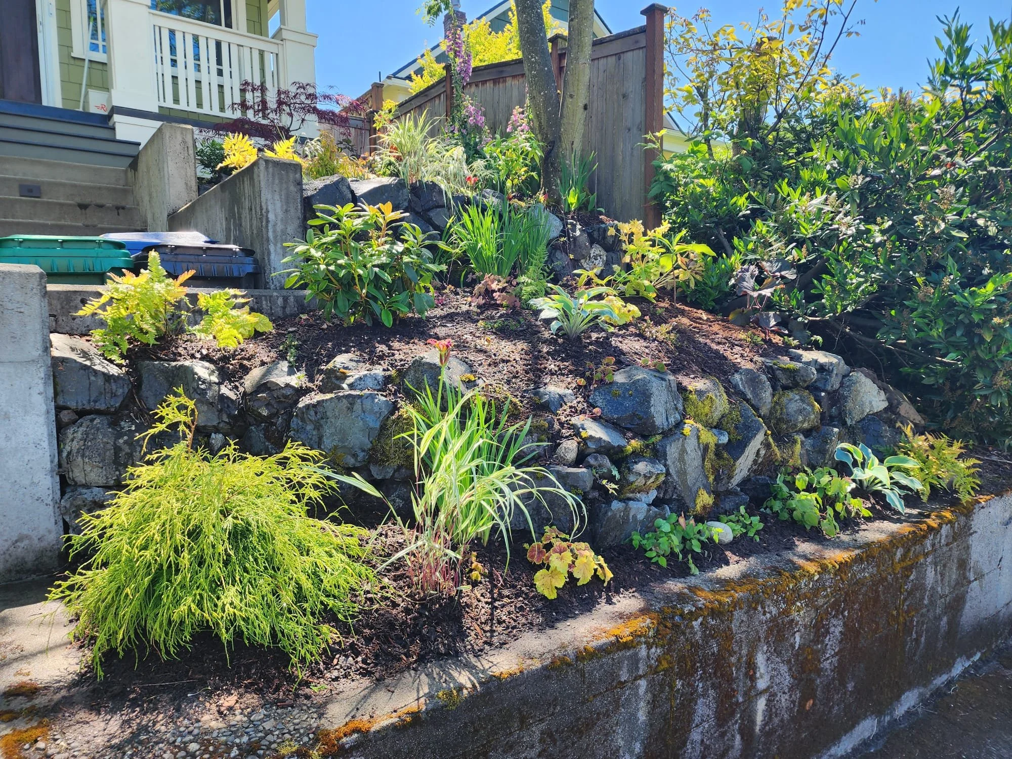 WhatsApp Image 2025-10-21 at 10.17.43 PM.jpeg