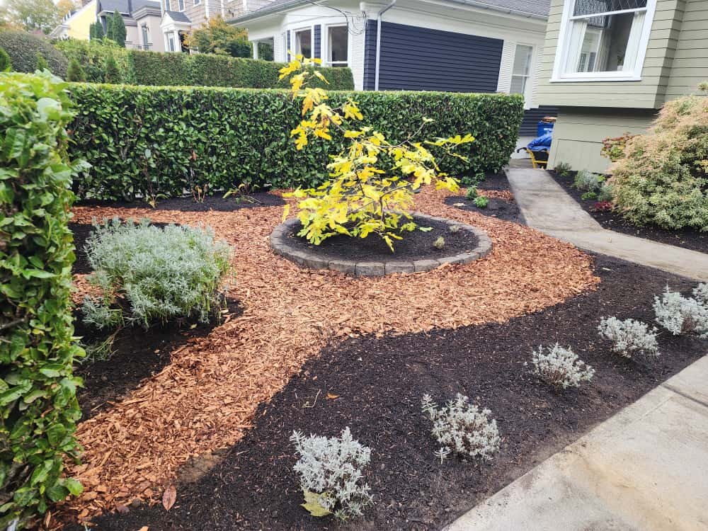 WhatsApp Image 2025-10-21 at 4.07.48 PM (1).jpeg