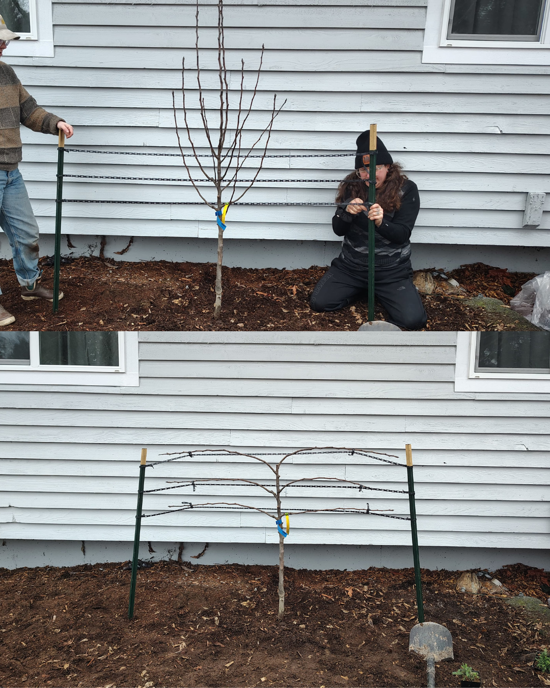 BeforeAfter Template (3).png