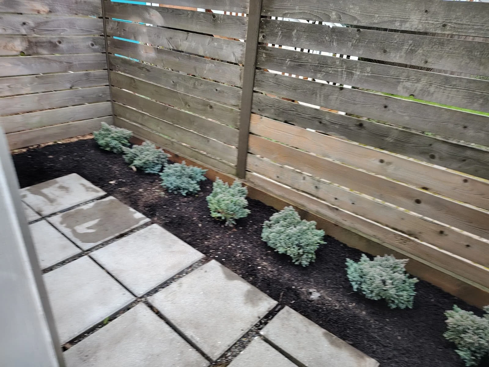 WhatsApp Image 2026-02-27 at 12.10.25 PM (1).jpeg