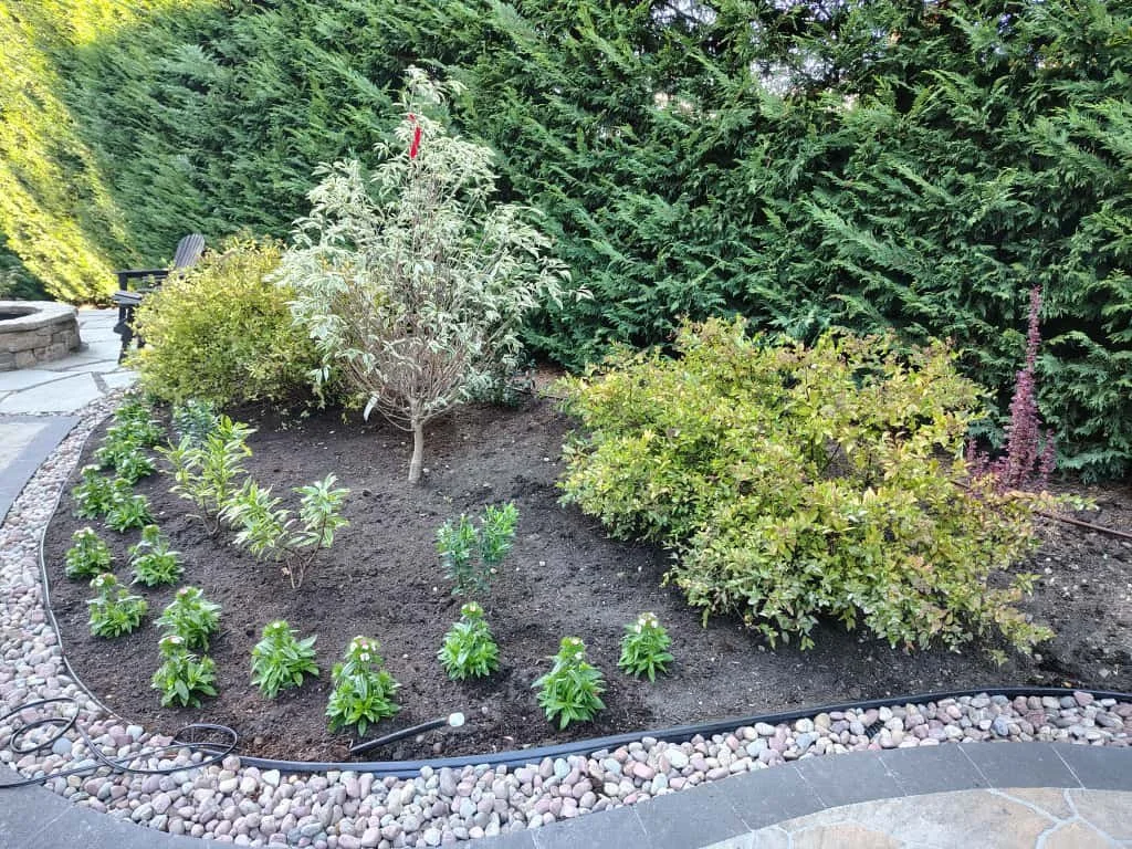 Image of one of Urban Earth's gardening clients. Pictured is a fully landscaped backyard.