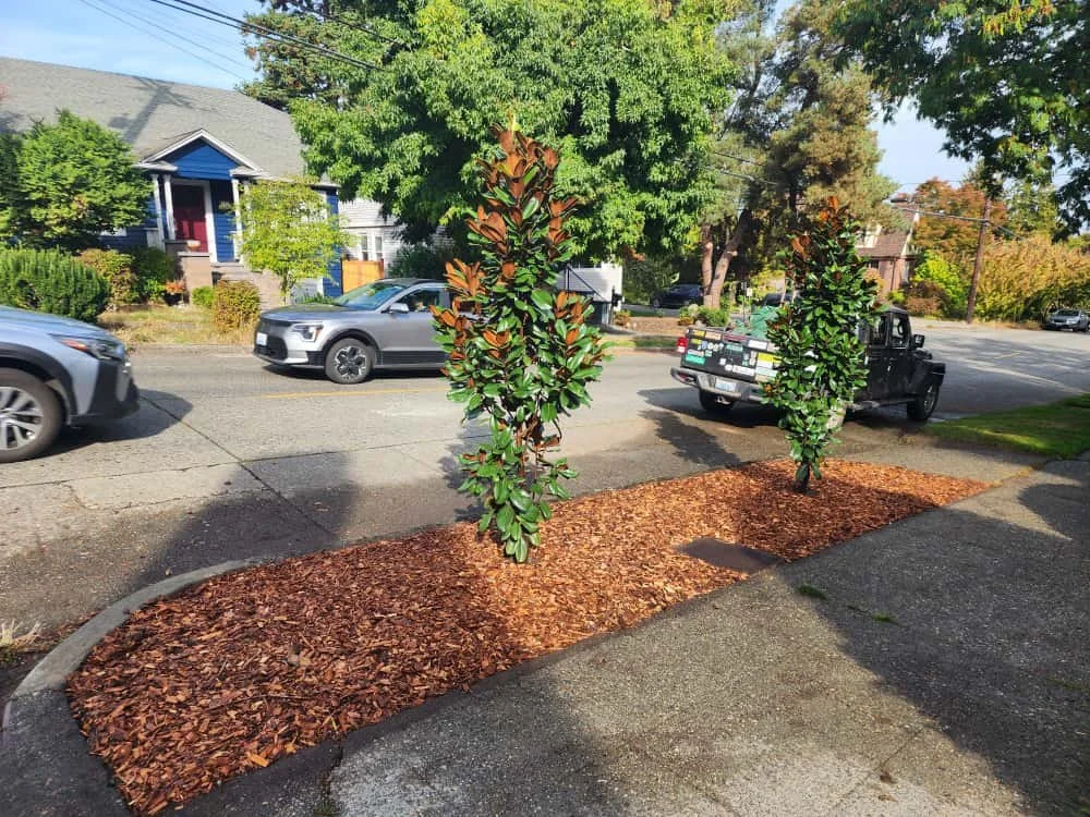 WhatsApp Image 2025-10-21 at 4.07.51 PM.jpeg