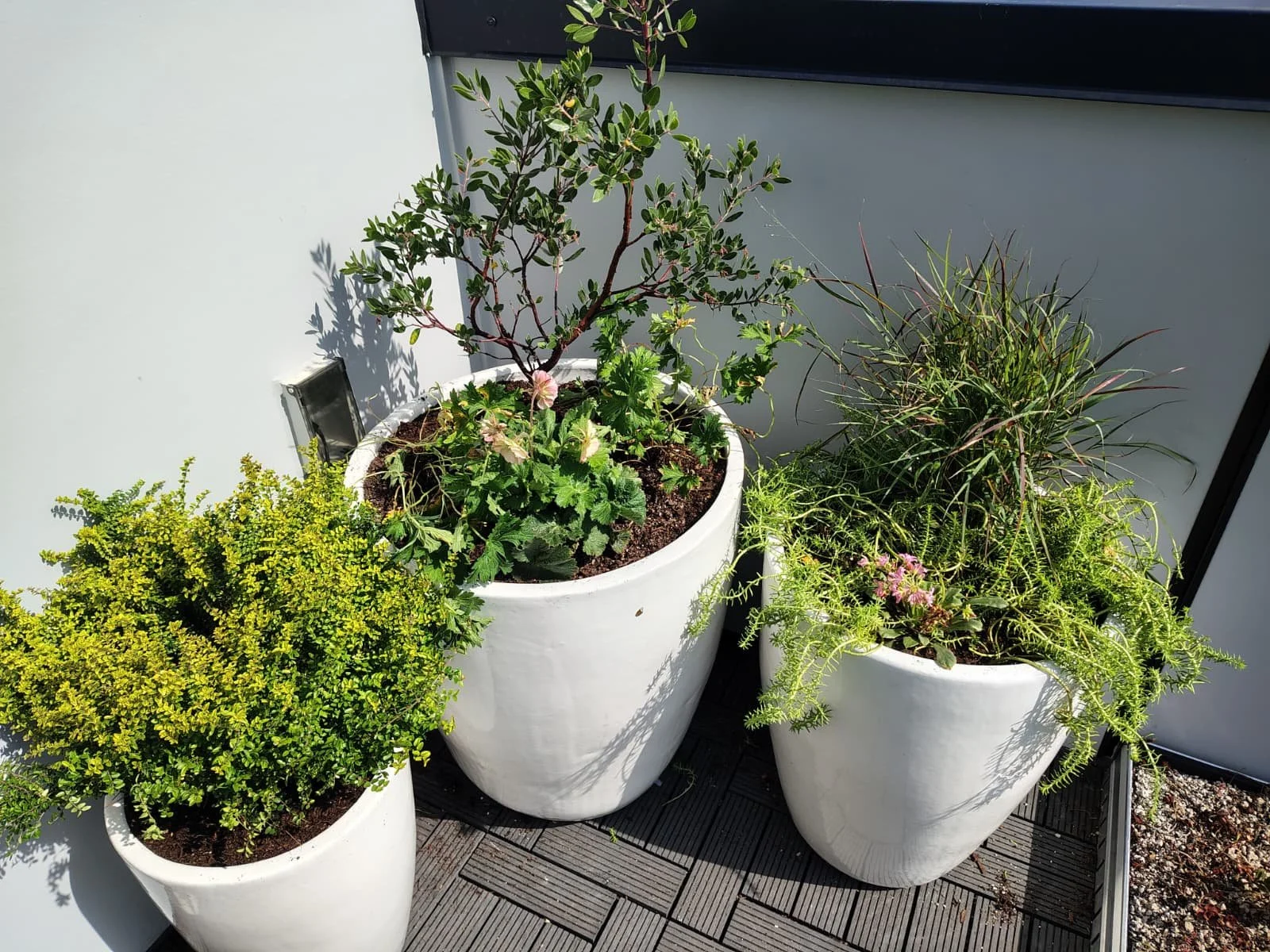 WhatsApp Image 2025-10-21 at 4.08.07 PM.jpeg