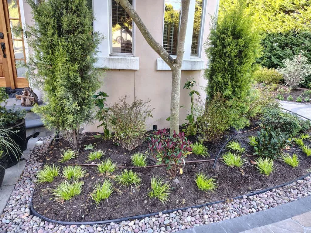 WhatsApp Image 2025-10-21 at 4.08.05 PM (3).jpeg