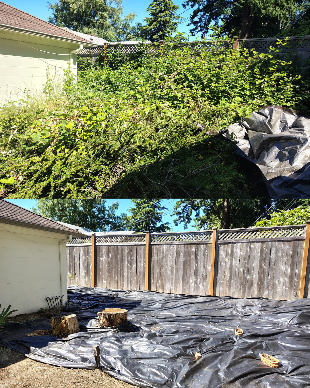 BeforeAfter Template (4).png