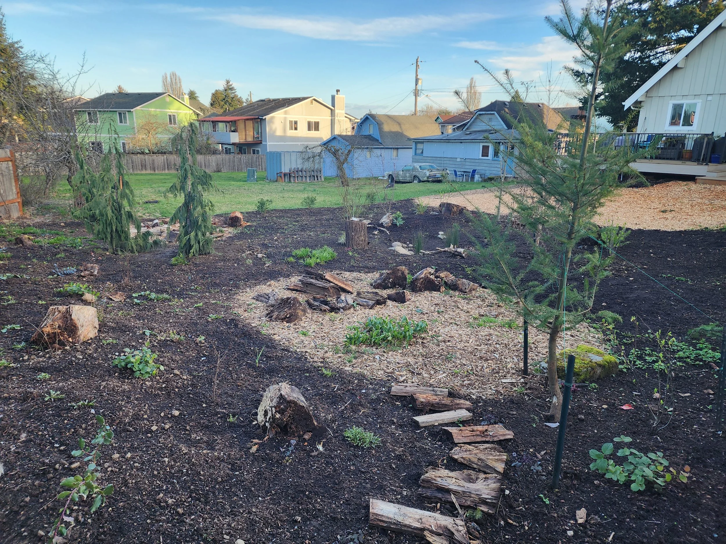 20250305_165804 (1).jpg