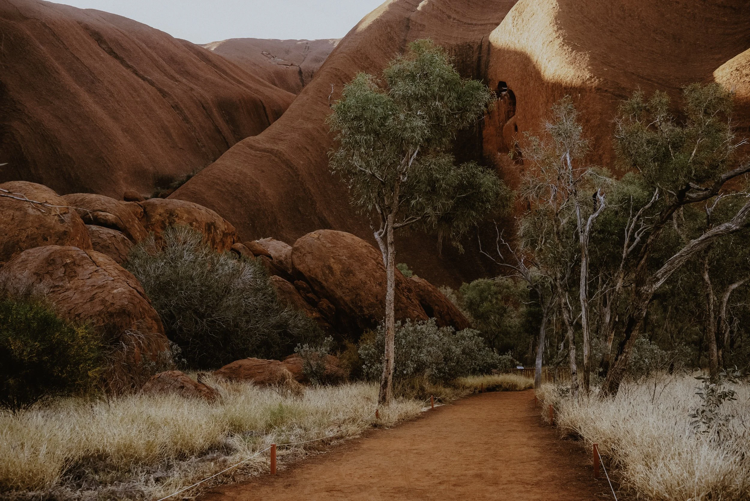 Australia Series-2.jpg