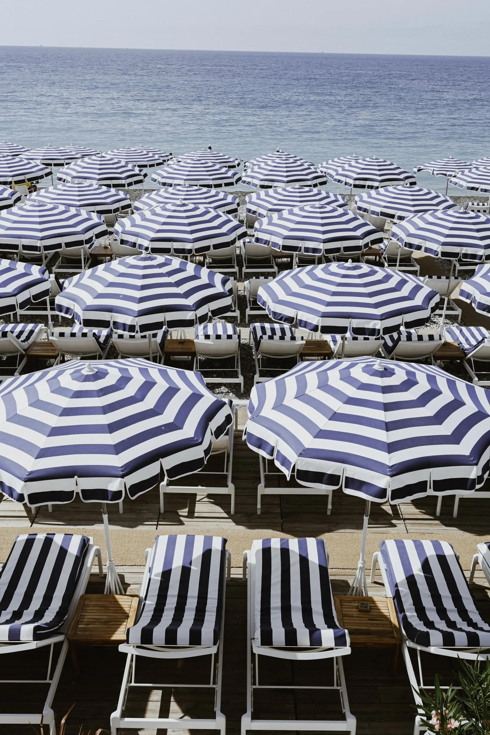 South of France-36.jpg